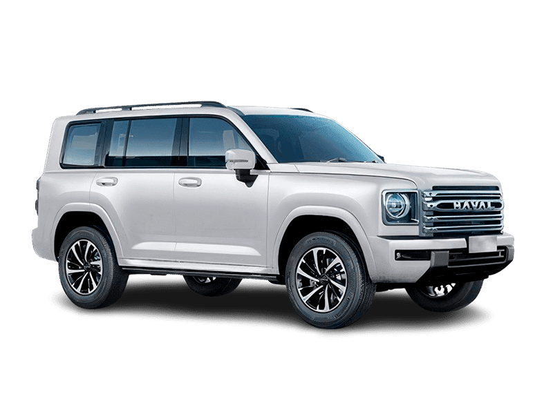 Белый металлик / Снежный оникс